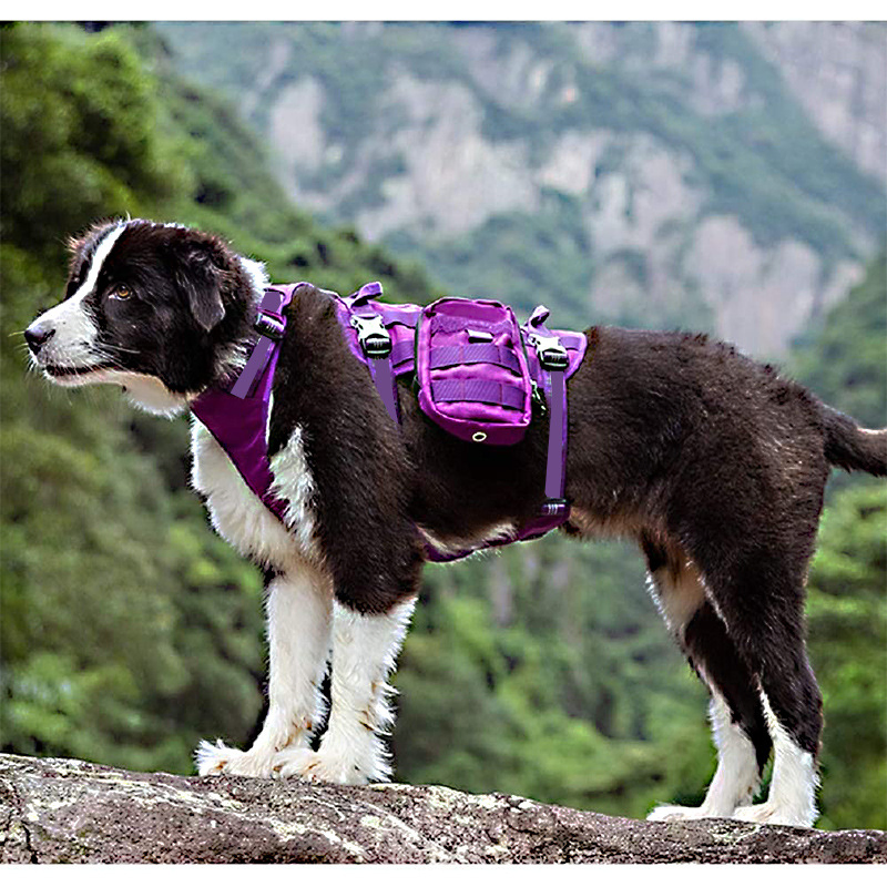 Waterproof Dog Harness Training Tactical Backpack