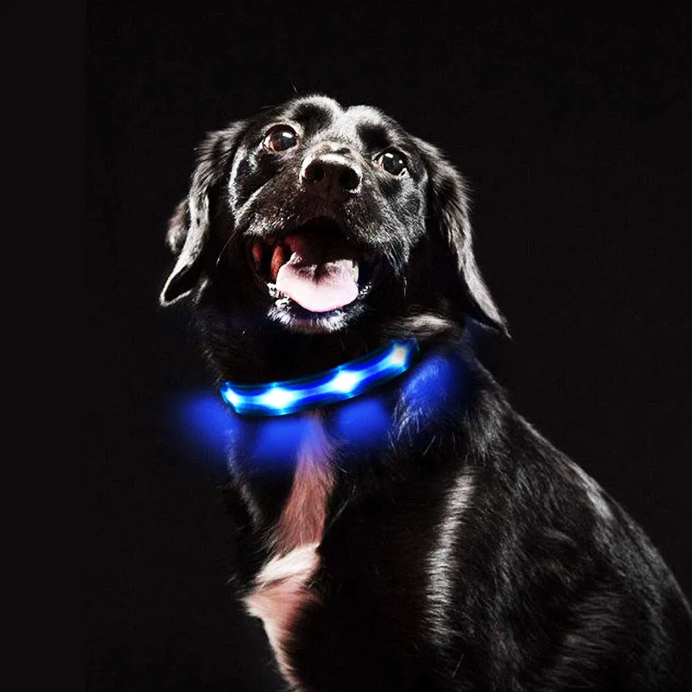 New Arrival LED Light-up Dog Collar Reflective Adjustable Pet Collars LED Product