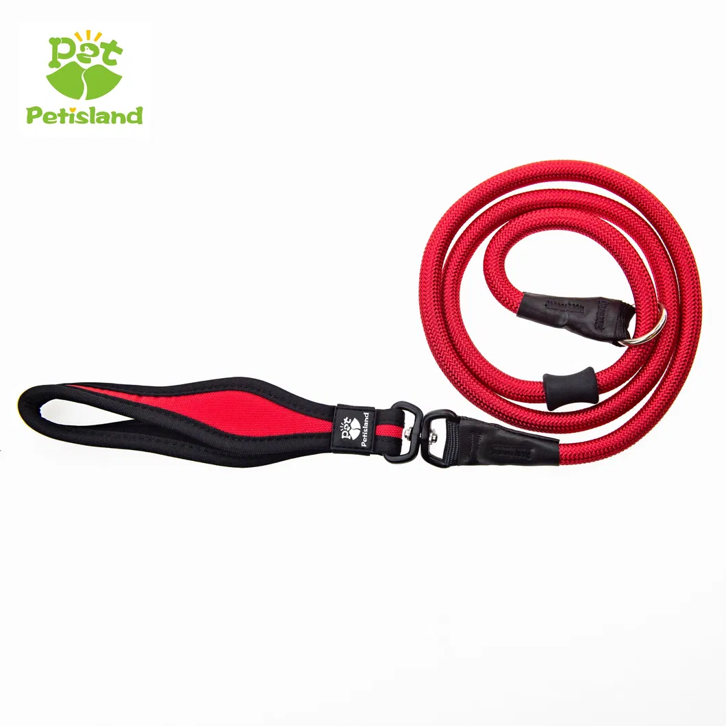 Pet Leash