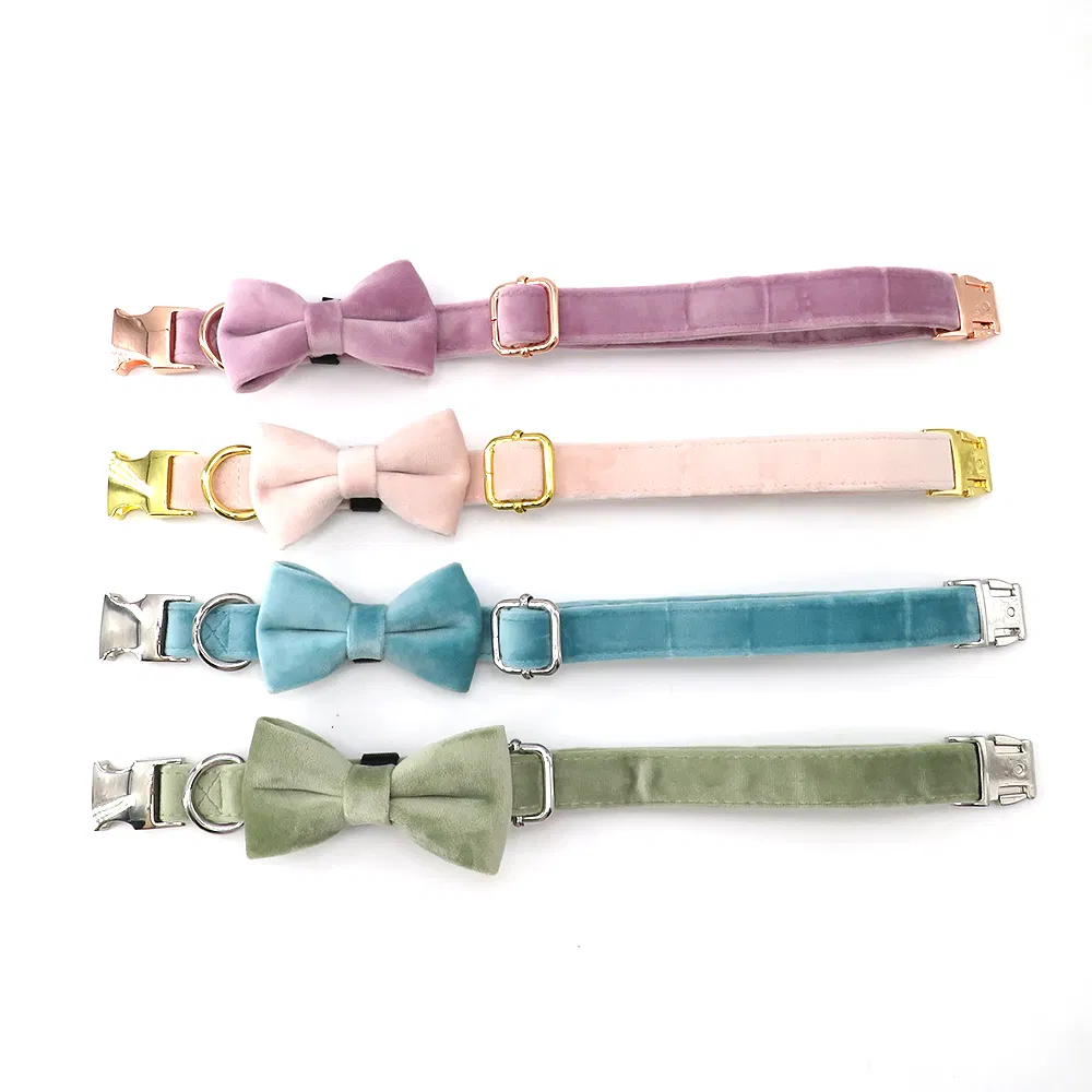Velvet Dog Collar 4