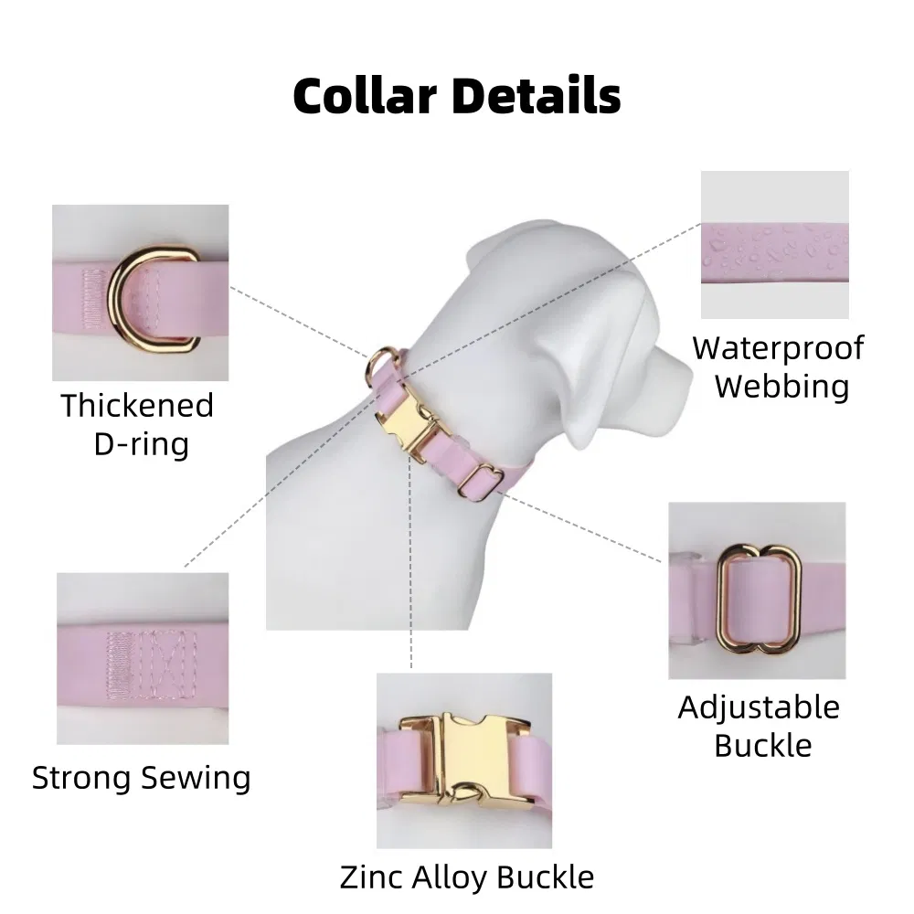 Waterproof Pet Collar Custom Pet Product PVC Coated Webbing Gold Metal Buckle Adjustable Walking Training Hunting Silicone Dog Collar