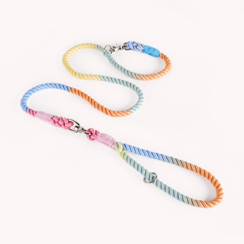 F&T Fashion Hot Sale Pet Products Wholesale Dog Leads Polyester Colorful Dog Leash