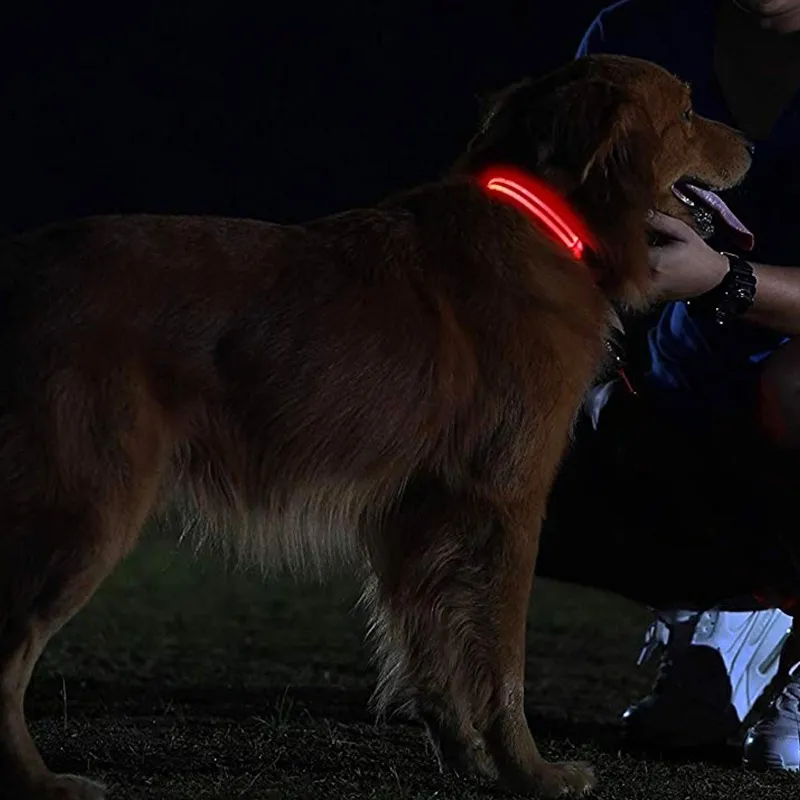 LED Dog Collar View 6