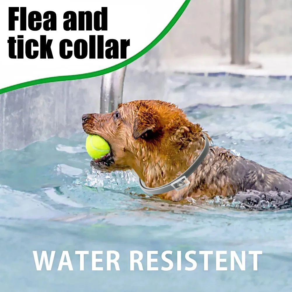 Flea and Tick Collar 2