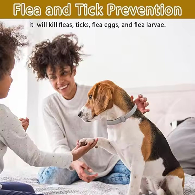 Natural Essential Oil Anti-Flea Mosquitoes Insect Repellent Waterproof Adjustable Pet Collar (CFPTS25001)