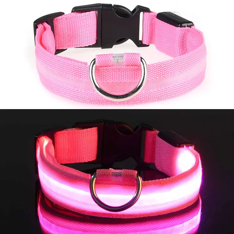 LED Dog Collar View 3