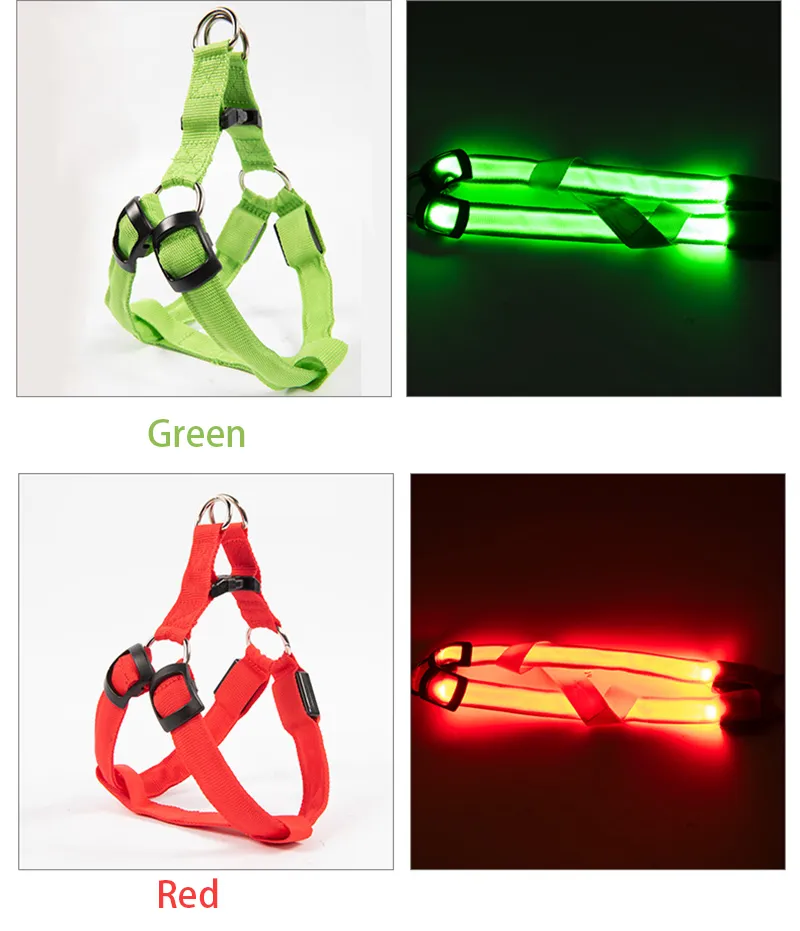 LED Dog Leash