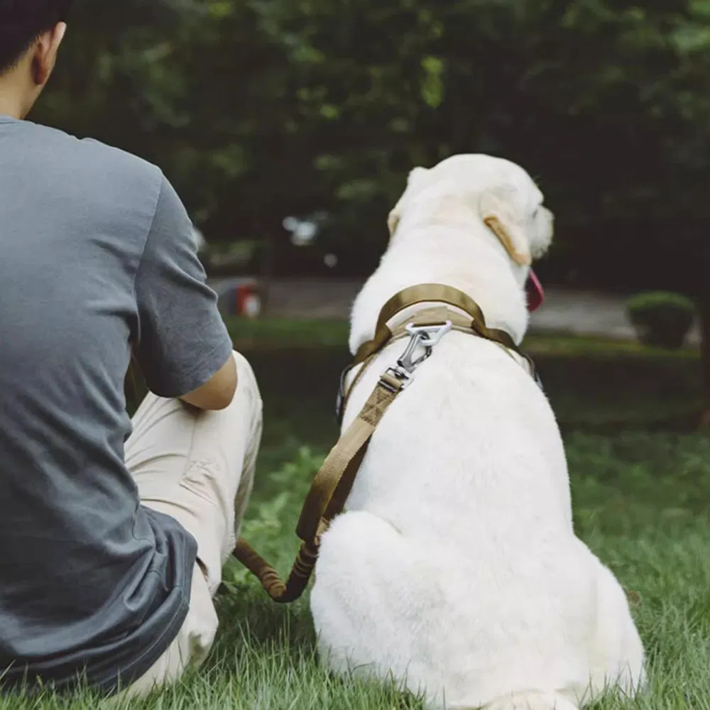 Stylish and Customizable Soft Dog Harness with Backpack Set
