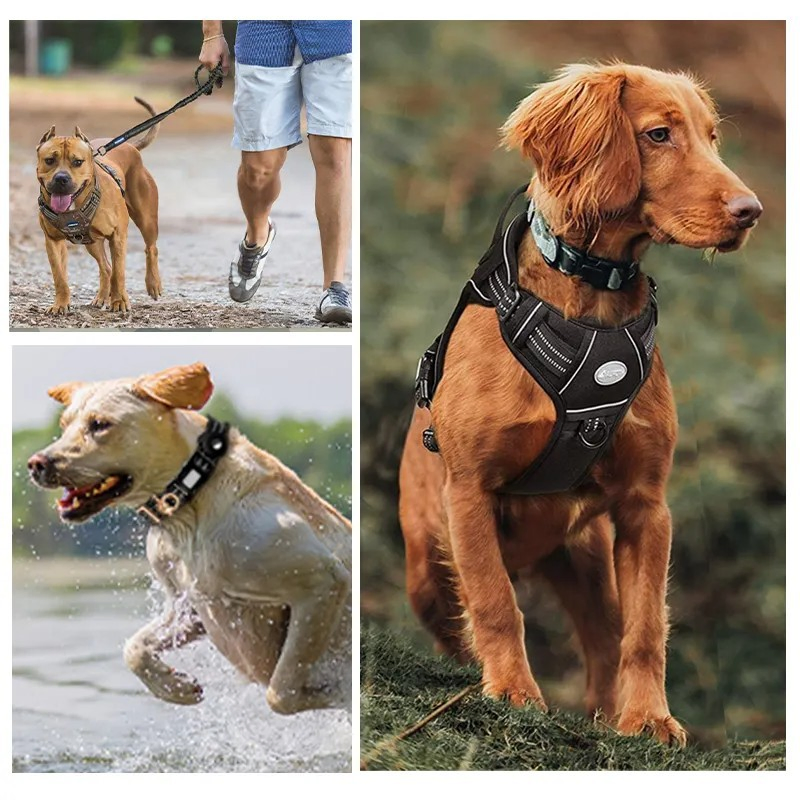 Hanyang Custom Made Products Customized Guangdong Wholesale Dog Harness Pet Supply