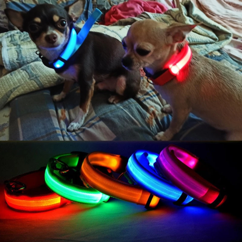 USB Charging LED Dog Collar Safety LED Luminous Dog Pet Light up Collar Night Nylon Necklace Glowing Leads for Dogs Night Safety