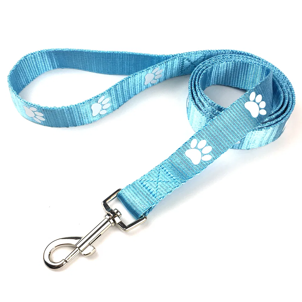 Pet Collar Overview