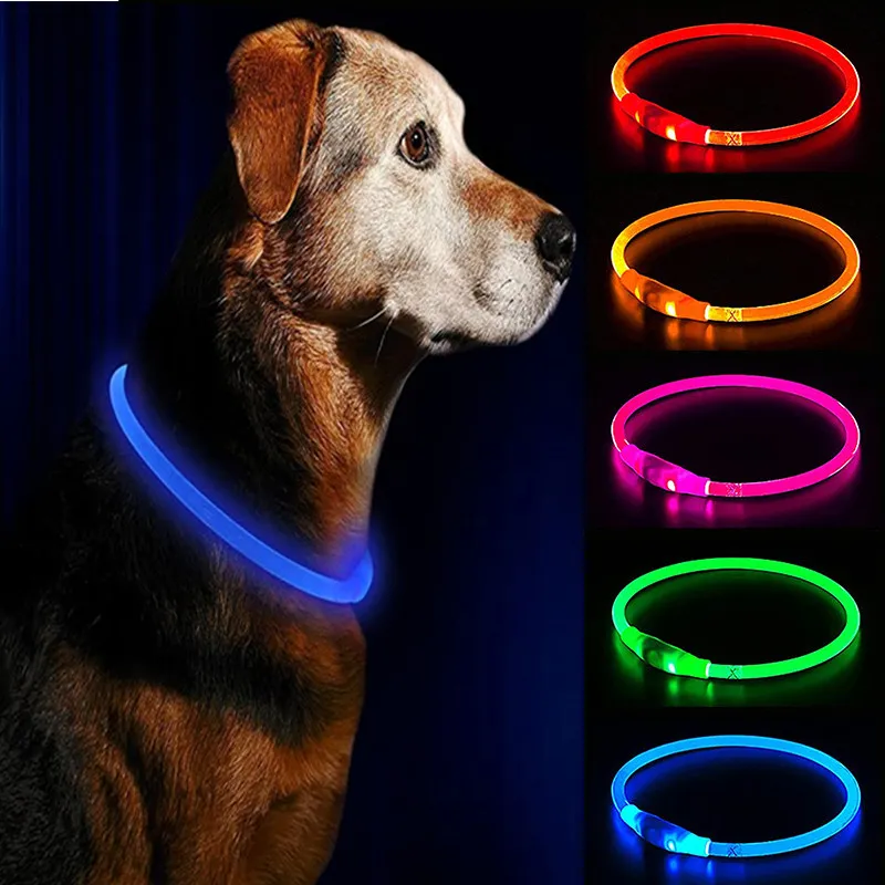 LED Dog Collar Detail 4
