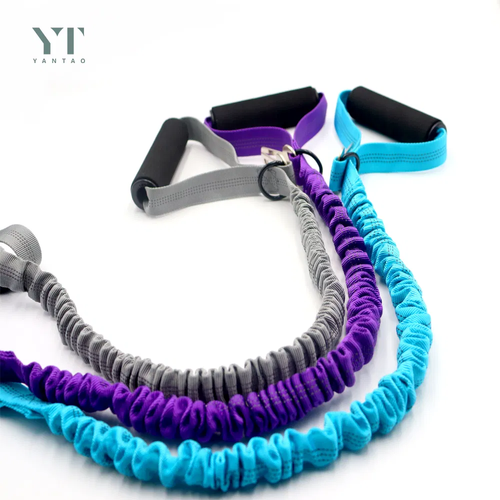 Heavy Duty Pet Supply Dog Leashes with Padded Traffic Handle Reflective Elastic Bungee Hands Free Rope Suitable Training Dog Running Leash