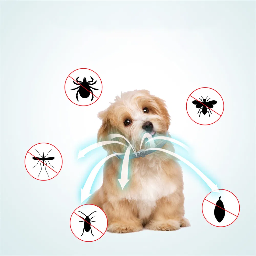 Natural Flea &amp; Worm Collar for Pets