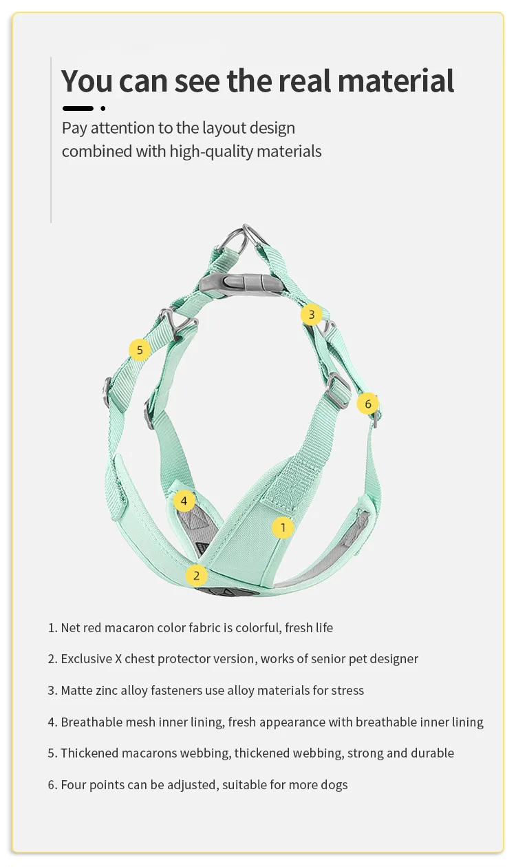 Pet Harness Detailed View 2