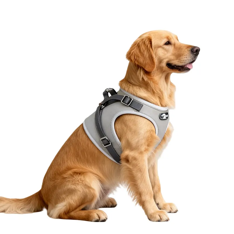 Pet Harness Set Overview