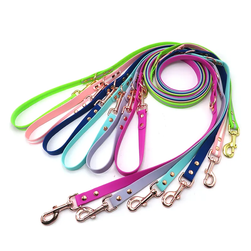 Pet Dog Training Leash Detail 1