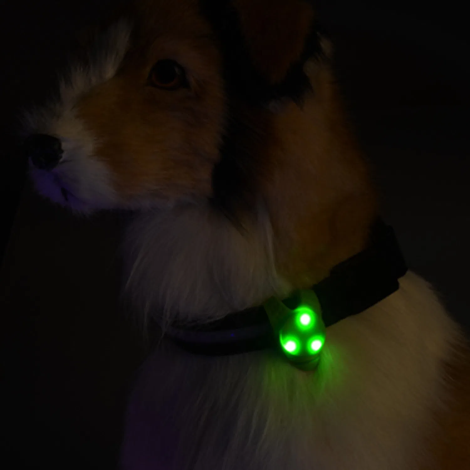 LED Pet Safety Light Flashing Dog Light