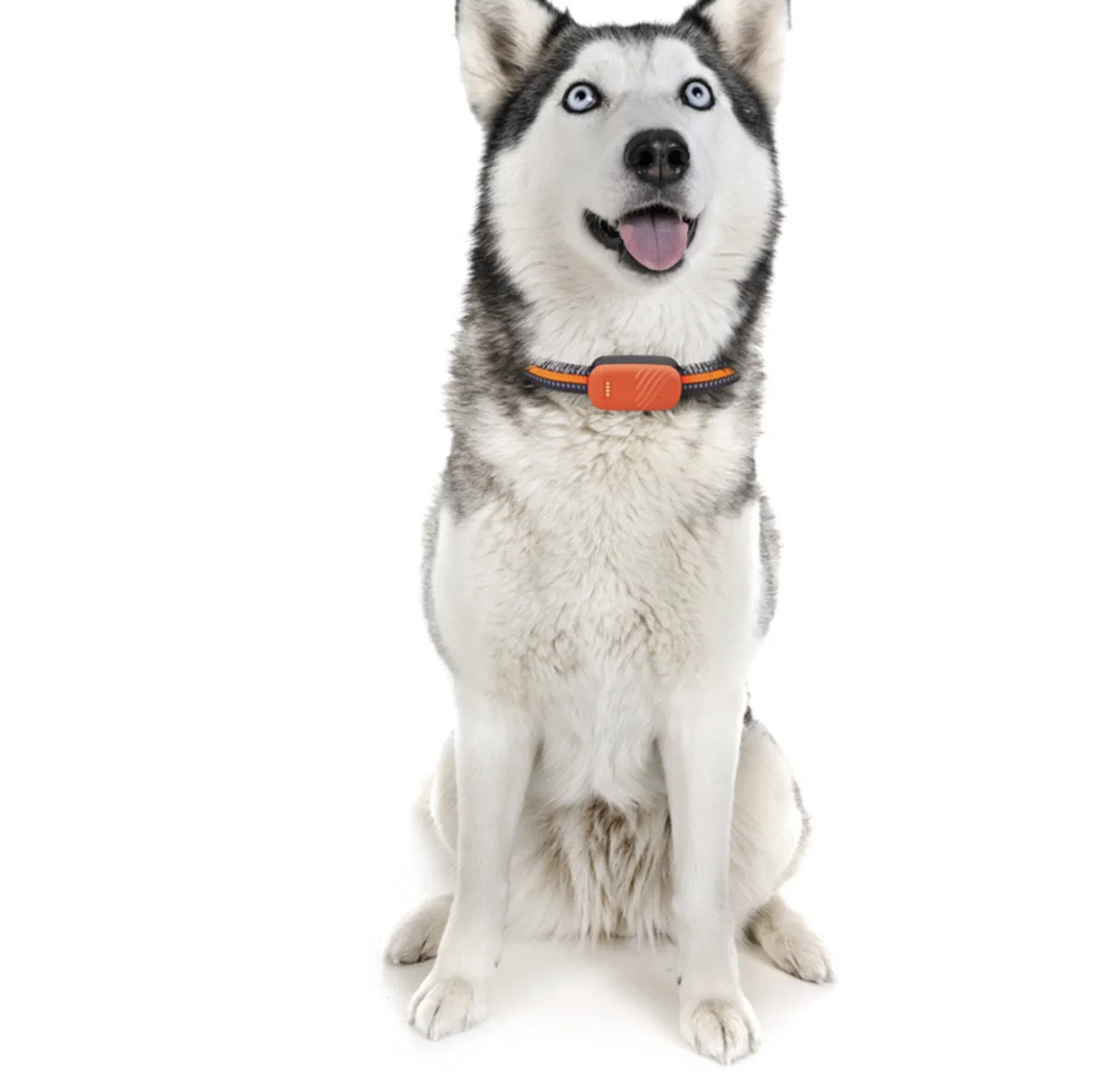 4G Back Clip Pet GPS Tracker G51- Americas Edition - Waterproof Beidou Electronic Fence Dog Cat Intelligent Collar Anti Loss Device