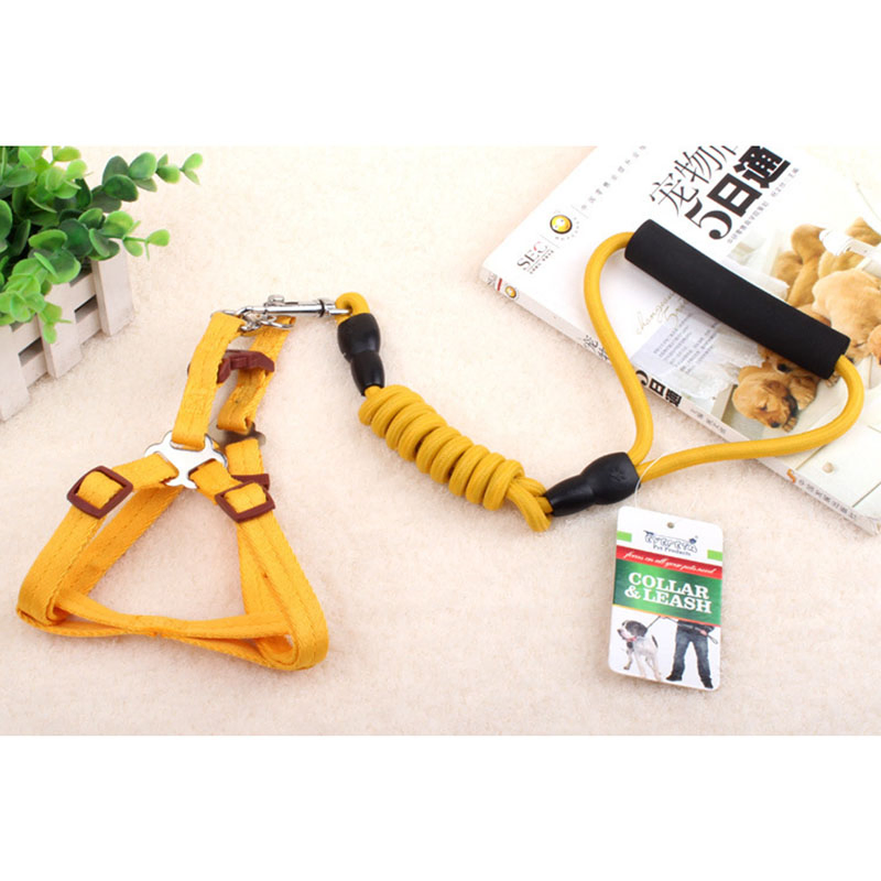 Retractable Dog Pet Collar Leash