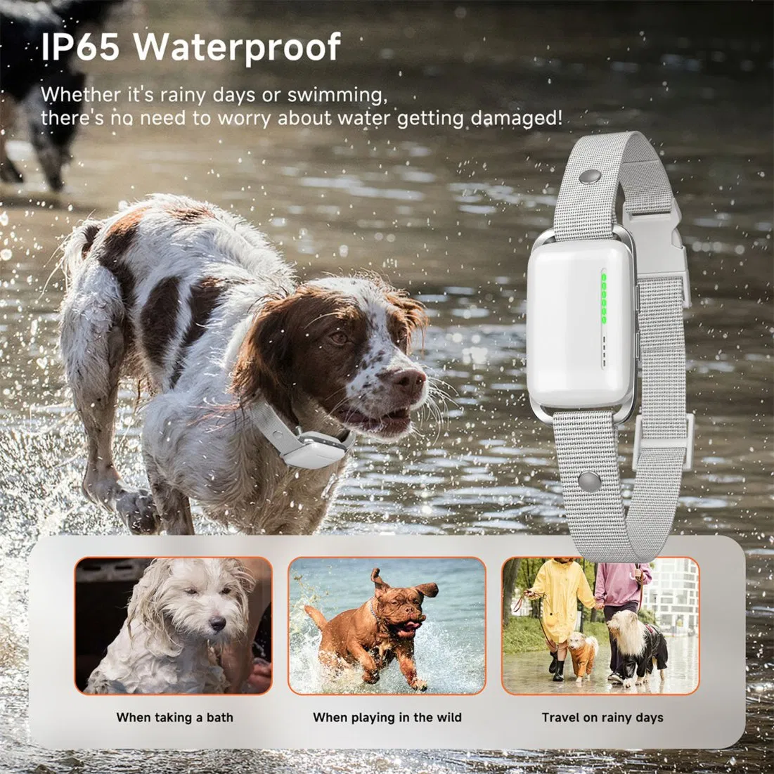 Remote Dog Trainer Long Range Pet Training Collar Smart Dog Training Collar