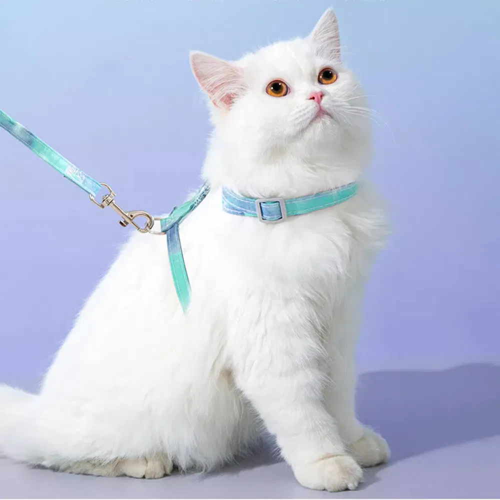 Comfort Fit Pet Collar and Leash Kit with Reflective Stride