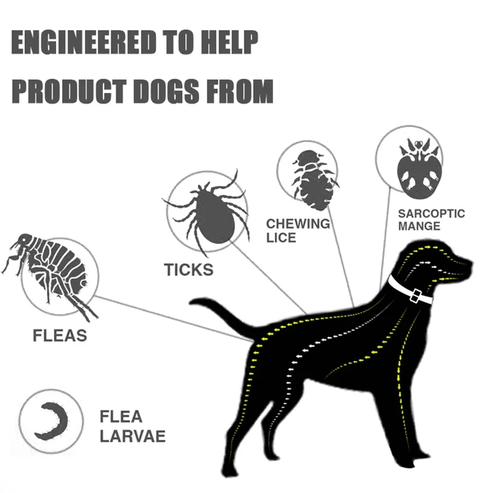 Flea and Tick Collar 6
