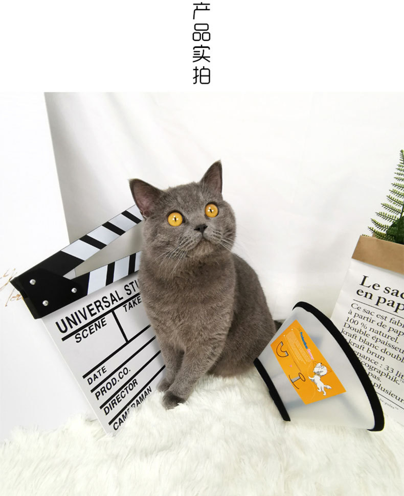 Elizabethan Factory's Sustainable Leather Pet Dog Cat Training Collar