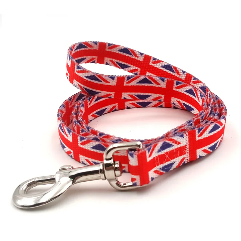 Pet Leash Main Image