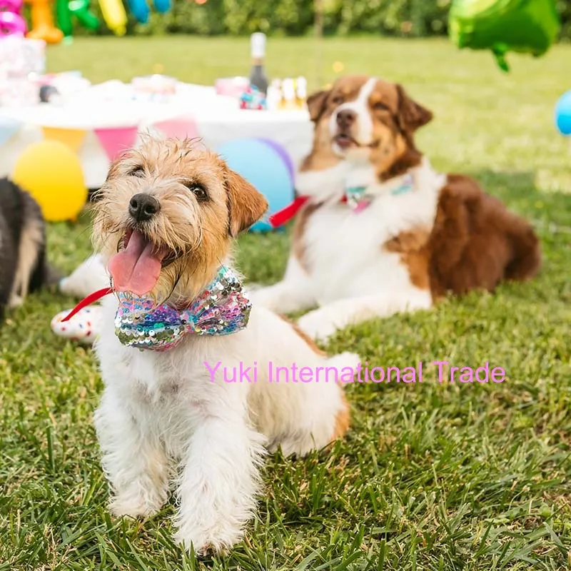 Fashionable Dog Bowtie