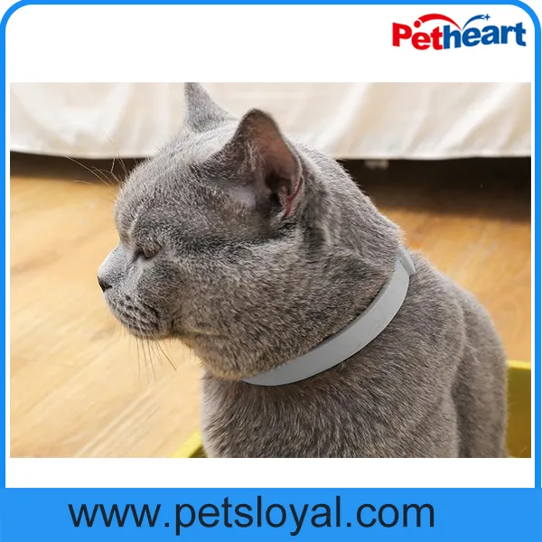 Pet Collar Photo 4