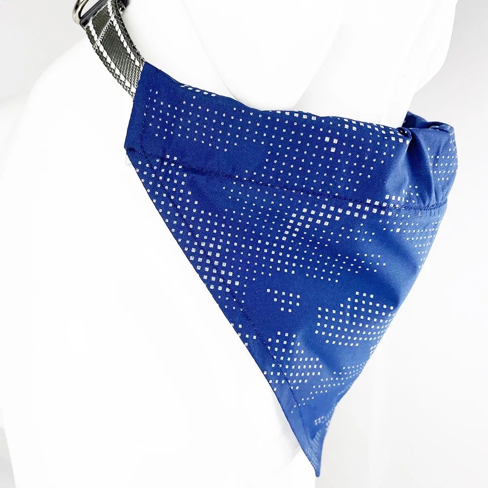 Dog Bandanna Main View