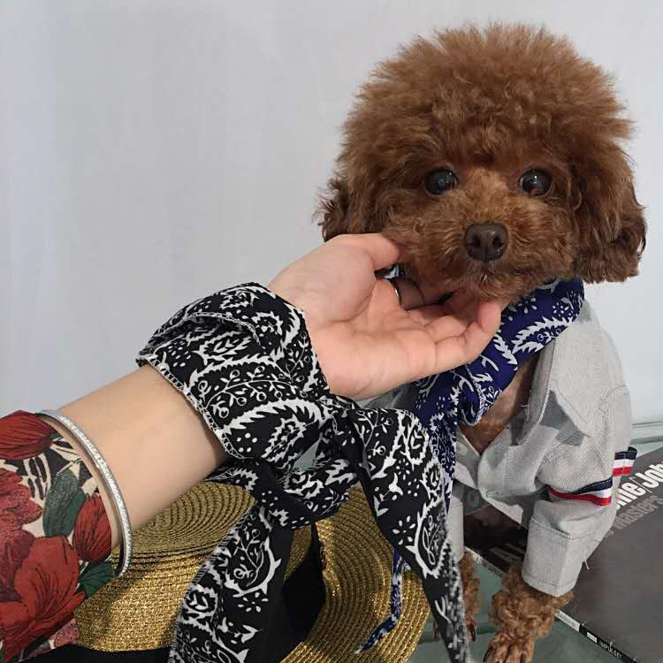 Evaporative Eco-Friendly Cooling Neck Band Ice Silk Scarf Bandana for Pets