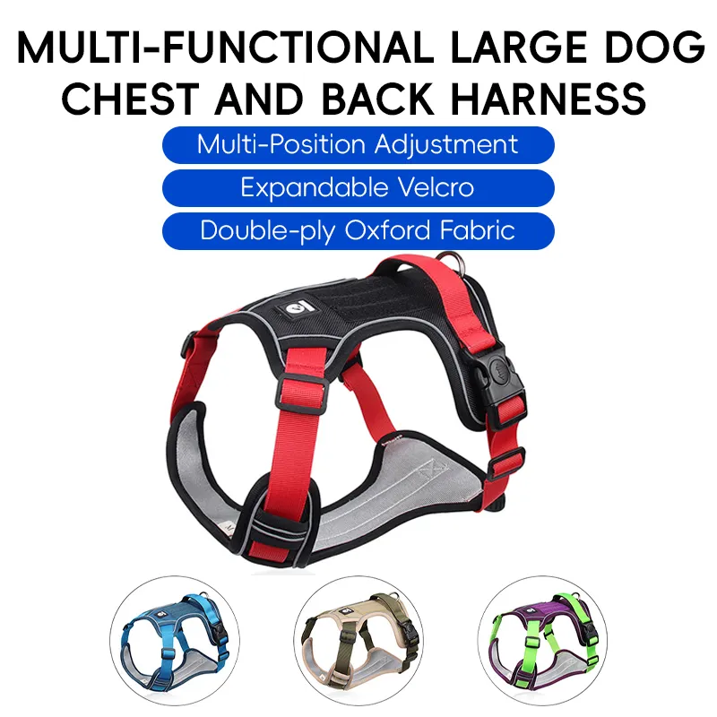 Dog Harness Detail 1