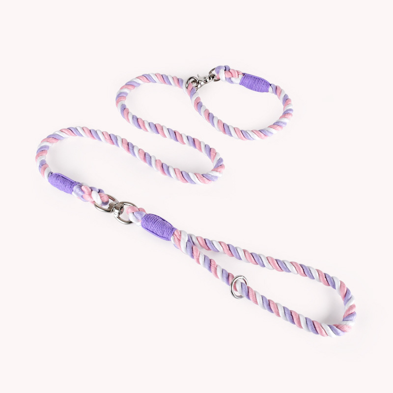 F&T Fashion Hot Sale Pet Products Wholesale Dog Leads Polyester Colorful Dog Leash