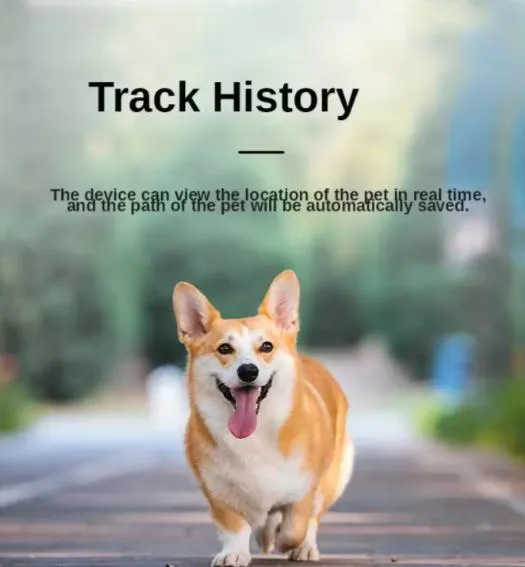 Pet Tracker Detail 5