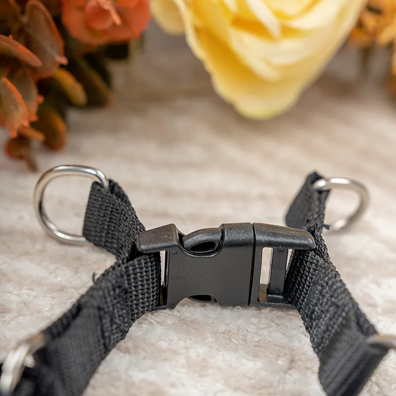 Mesh Dog Harness View 4