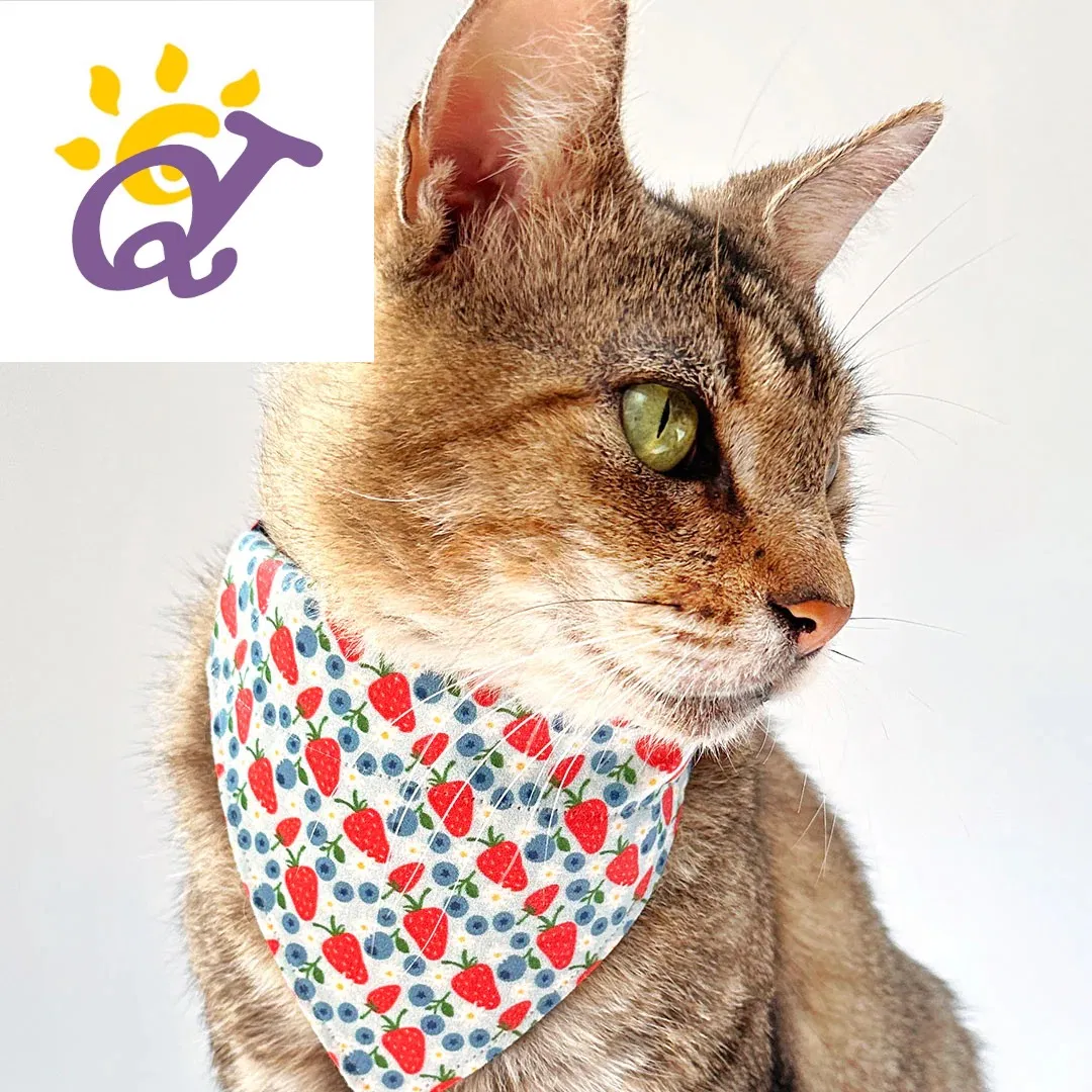 Yuki Productos Para Mascota for Cat and Dog Polyester Cooling Triangular Bandana Pet Neck Scarf