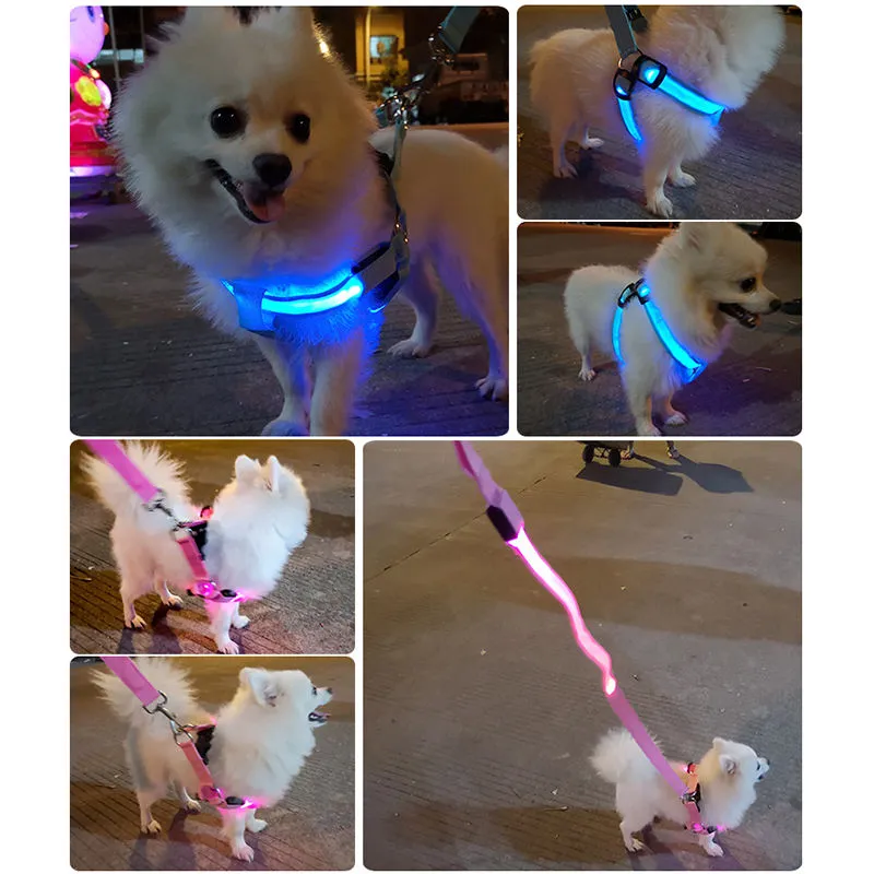 Night Walking Leashes