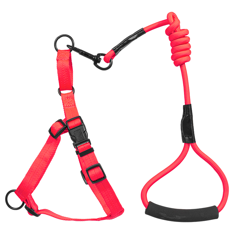 Manufacturers Wholesale Custom Pet Nylon Webbing Adjustable Metal Chain Small Nylon Backpack Dog Harness Set