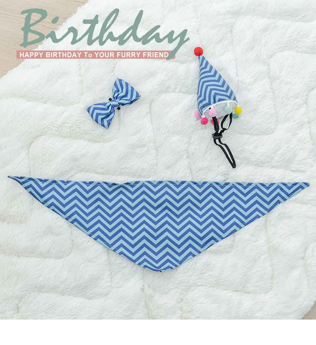 Pet Birthday Set Detail 1