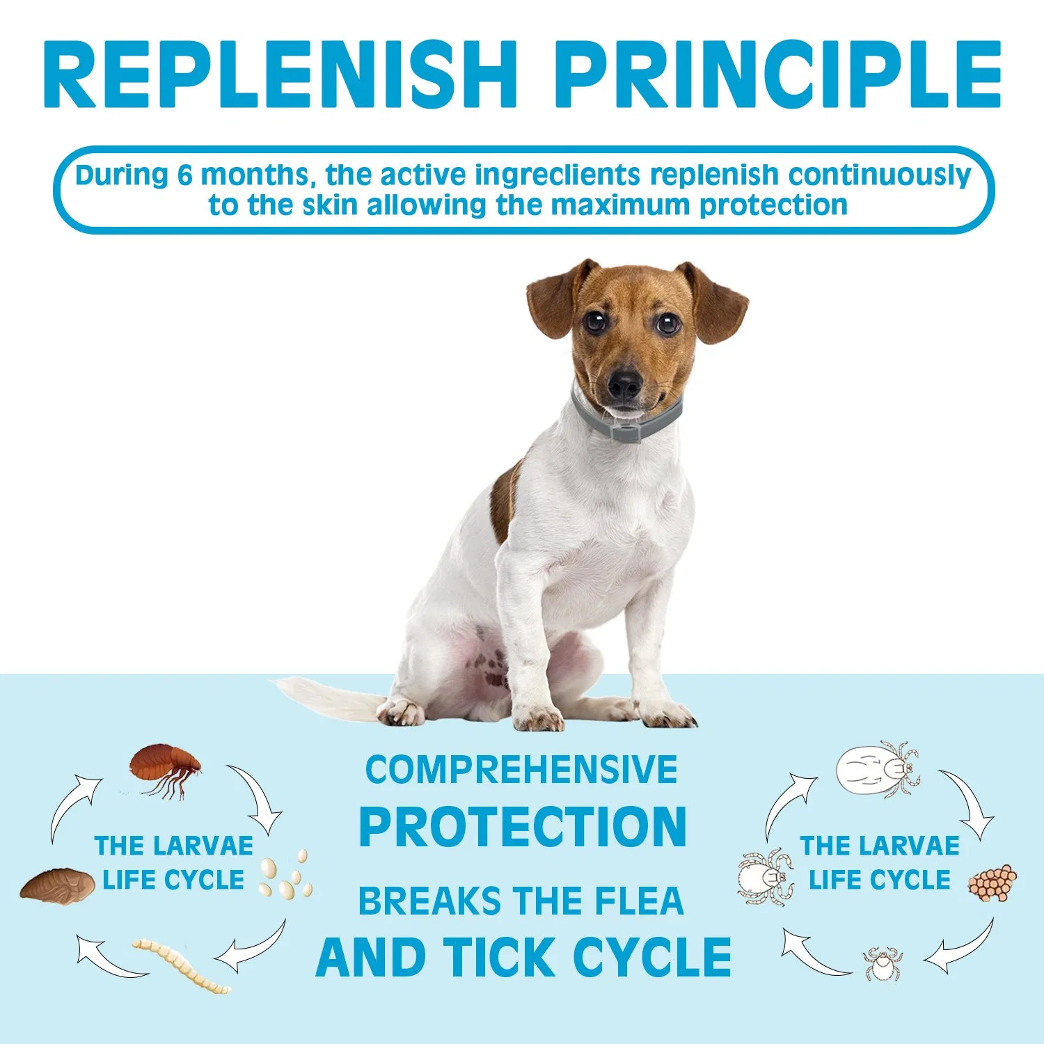 Anti Flea and Tick Extruded Essential Oil Collar 6 Month Protection, Pet Remove One Size Fits All