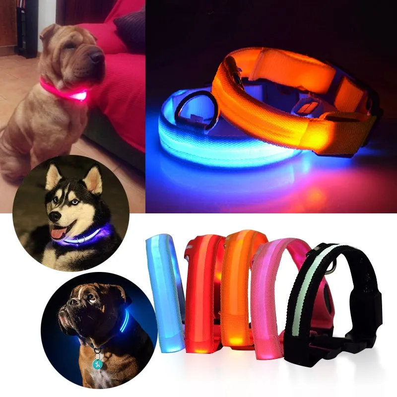 LED Dog Collar View 8