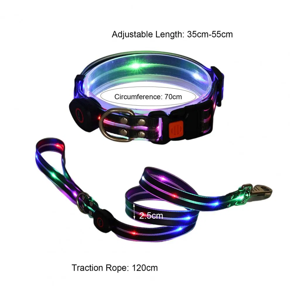 LED Pet Collar 1