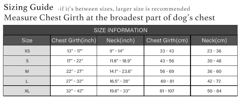 Luxury Pet Harness Set