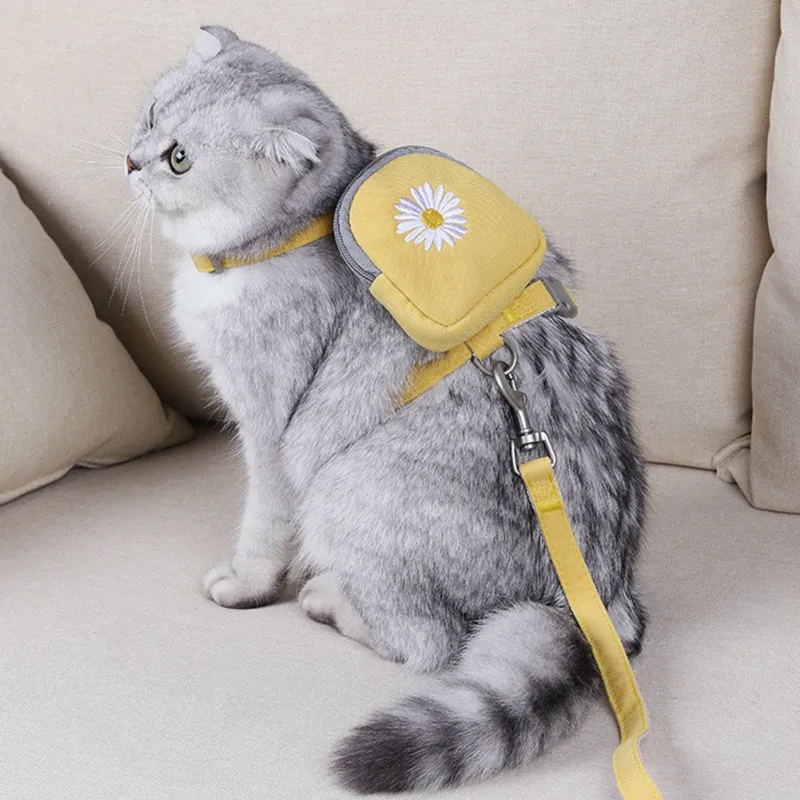 Pet Backpack Harness 1