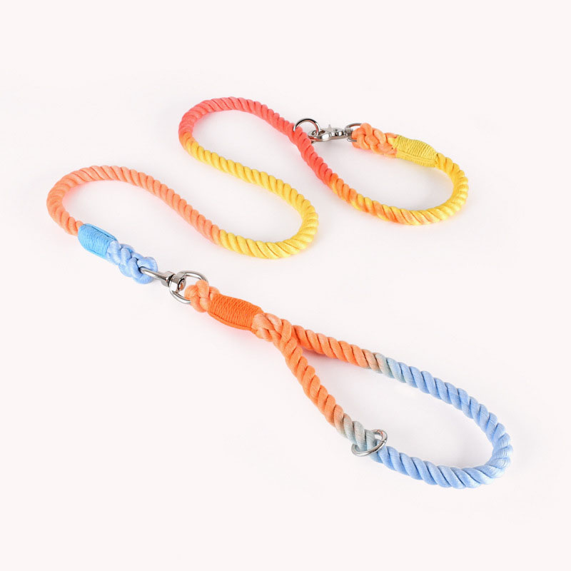 F&T Fashion Hot Sale Pet Products Wholesale Dog Leads Polyester Colorful Dog Leash