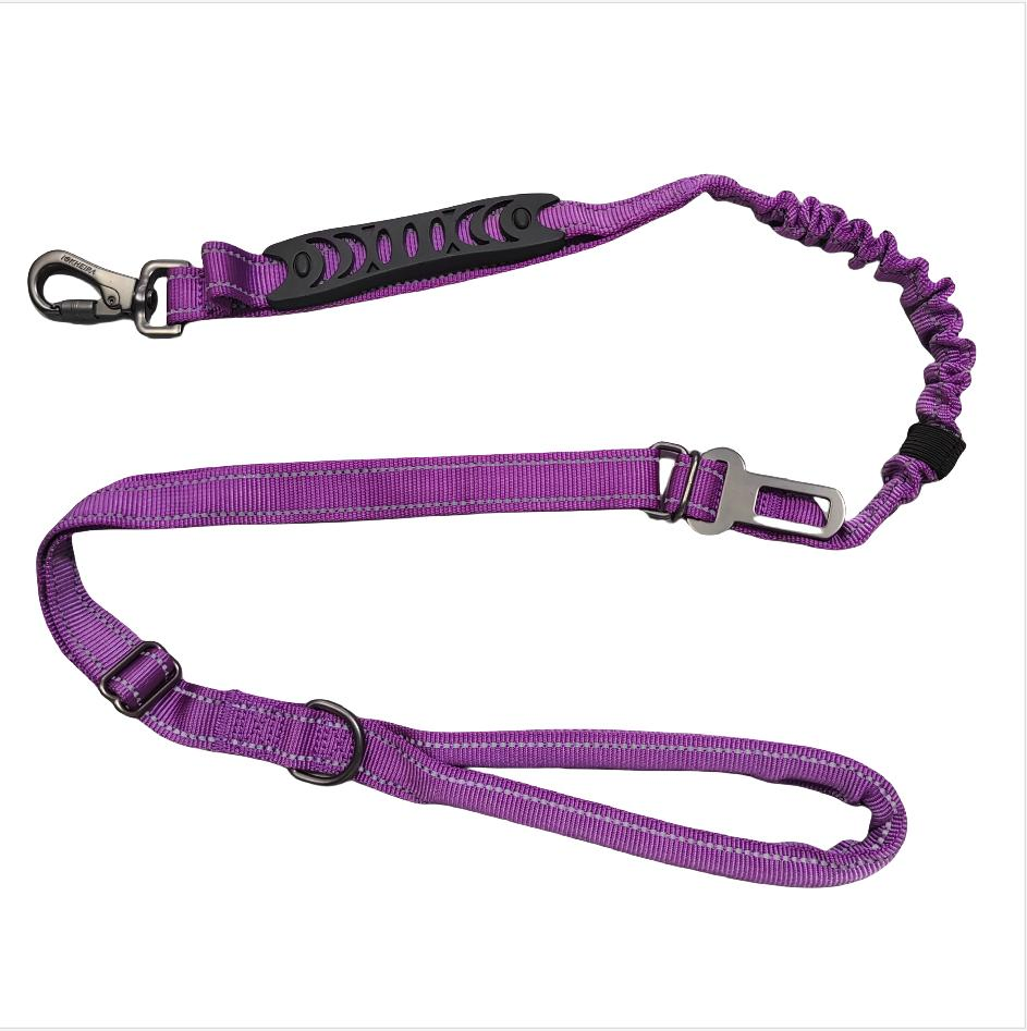 Wholesale Retractable Dog Lead Product Custom Multi-Color Heavy Duty Nylon Webbing Pet Reflective Bungee Cat Dog Training Leash