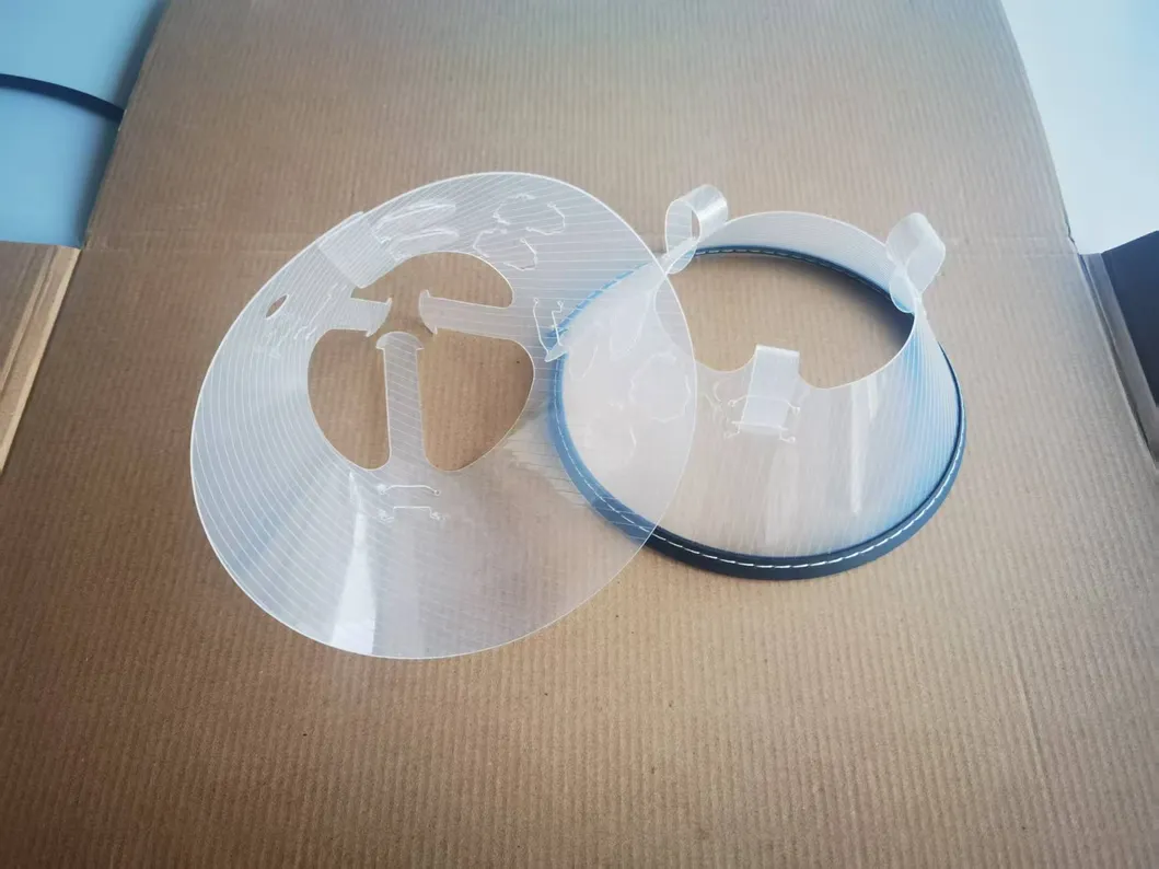 Elizabethan Collar Detail 2