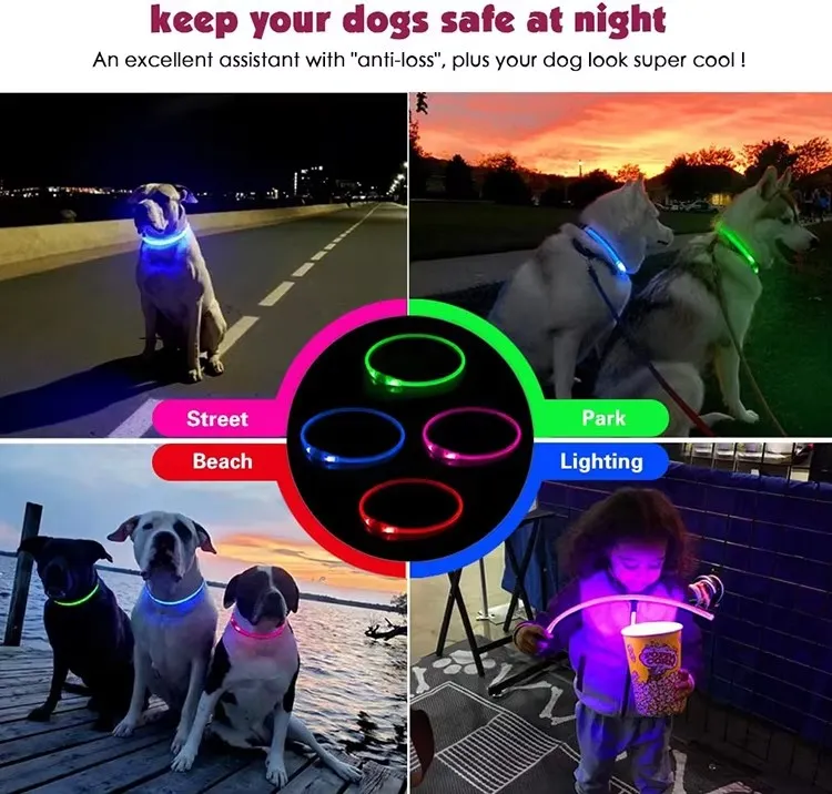LED Collar Charging